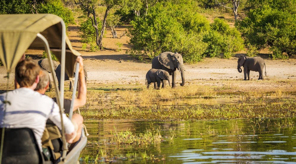 Dónde hacer un safari en Botswana