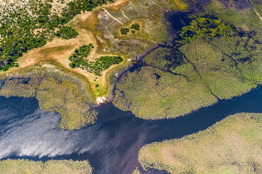 Delta del Okavango